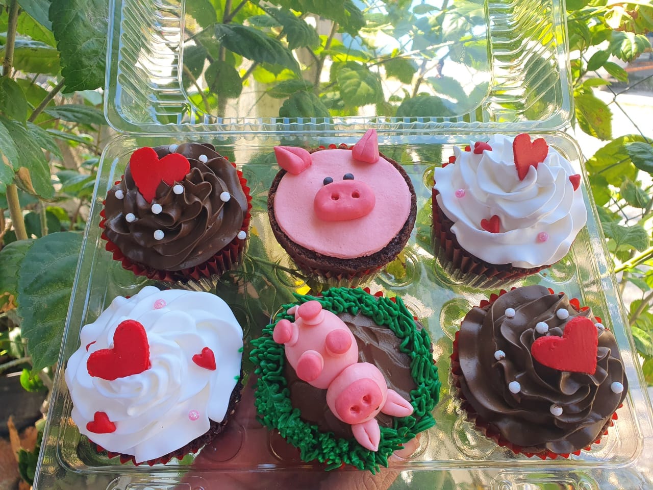 Cupcakes 4